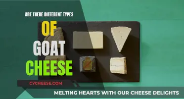 Exploring the Varieties: Unveiling the Different Types of Goat Cheese