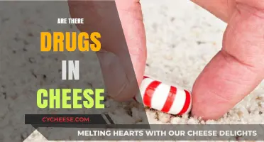 Cheese and Drugs: Unraveling the Truth Behind the Myth