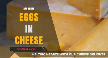 Are Eggs in Cheese? Unraveling the Dairy Mystery