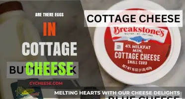Are There Eggs in Cottage Cheese? Unraveling the Ingredients Mystery