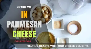 Parmesan Cheese and Eggs: What's the Connection?
