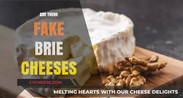 Unveiling the Truth: Are There Fake Brie Cheeses Out There?