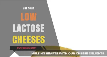 Low Lactose Cheeses: Discover Dairy Options for Sensitive Stomachs