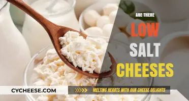 Discovering Low-Sodium Cheese Options: Healthier Choices for Cheese Lovers