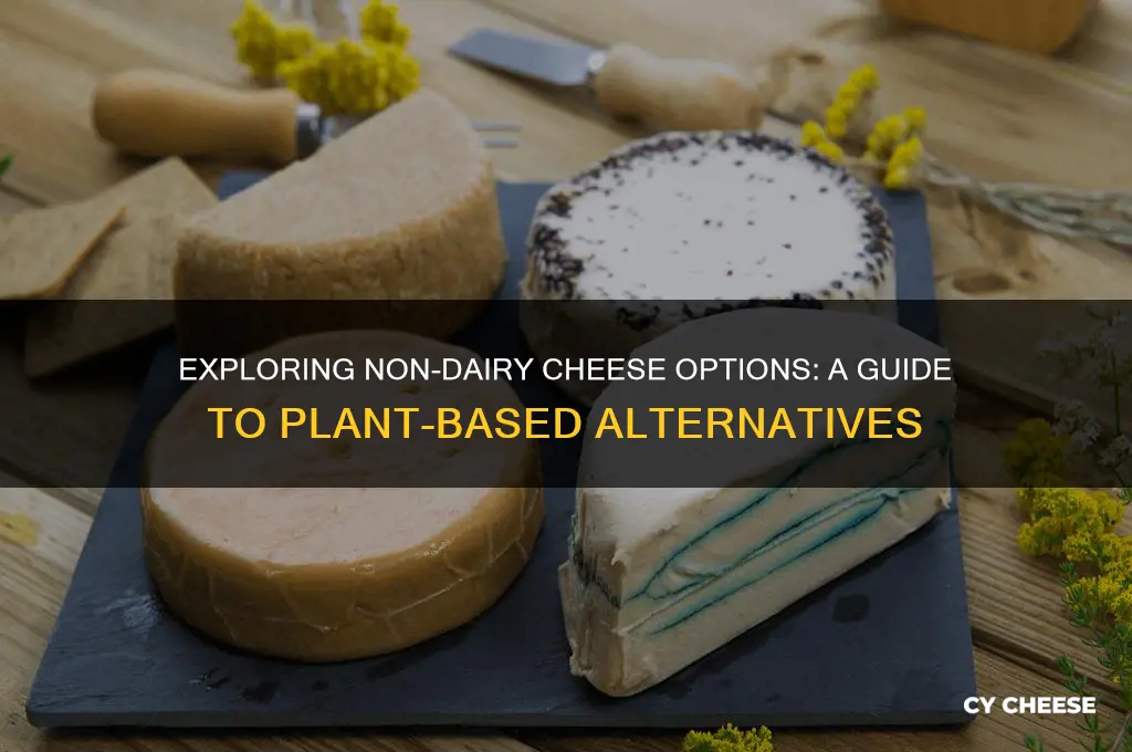 are there non dairy cheese