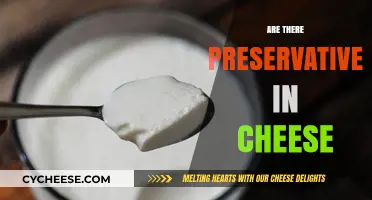 Are There Preservatives in Cheese? Uncovering the Truth About Cheese Additives
