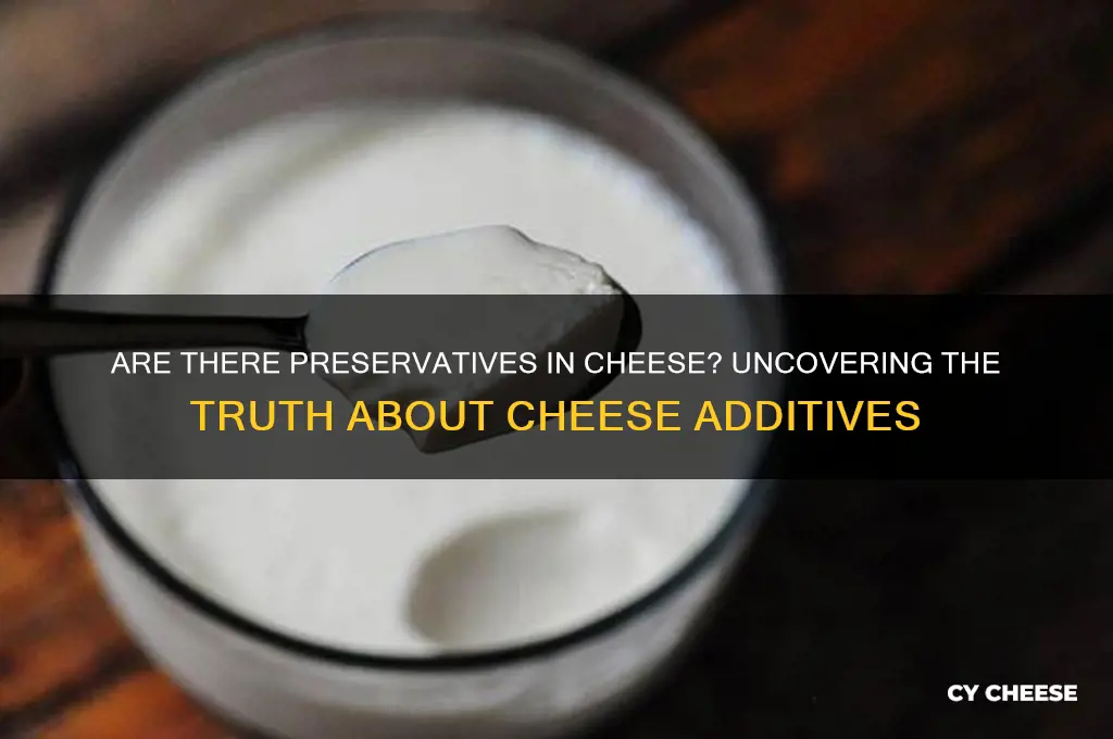 are there preservatives in cheese