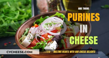 Cheese and Purines: Uncovering the Truth About This Dairy Delight
