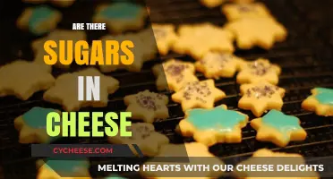 Uncovering the Truth: Do Sugars Hide in Your Cheese?