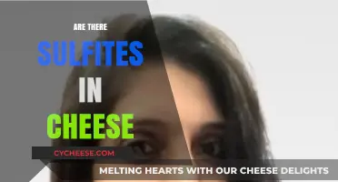 Sulfites in Cheese: Uncovering the Truth About Their Presence