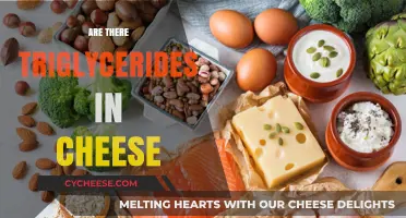 Cheese and Triglycerides: Uncovering the Truth About Fat Content