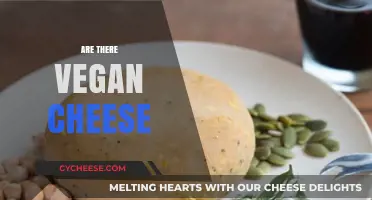 Exploring Vegan Cheese: Plant-Based Alternatives for Dairy-Free Diets