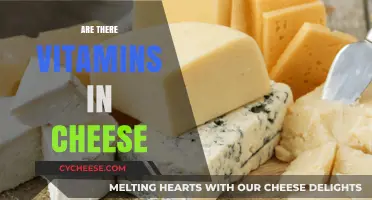 Cheese and Vitamins: Uncovering Nutritional Benefits in Your Favorite Dairy