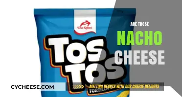 Are Those Nacho Cheese? Unraveling the Mystery of Cheesy Snacks