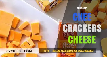 Are Toast Chee Crackers Cheese? Unraveling the Snack Mystery