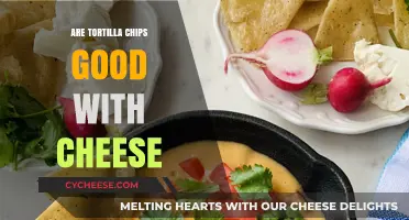 Tortilla Chips and Cheese: A Match Made in Snack Heaven?