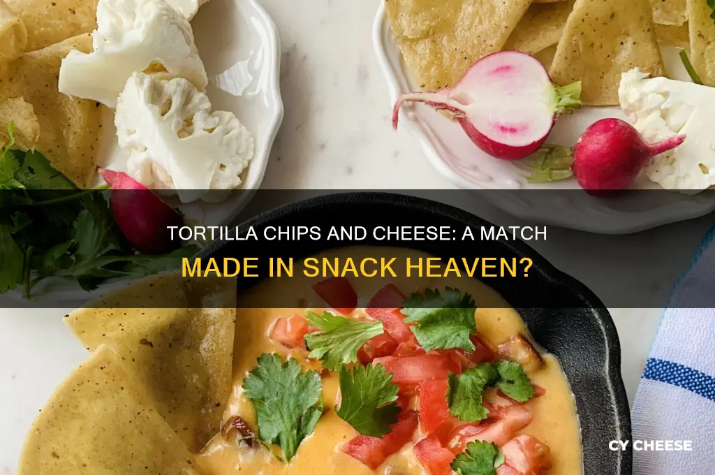 are tortilla chips good with cheese