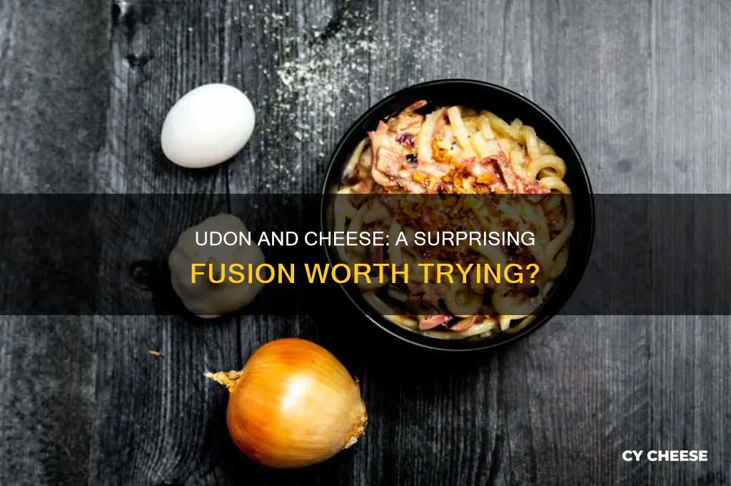 are udon noodles good with cheese