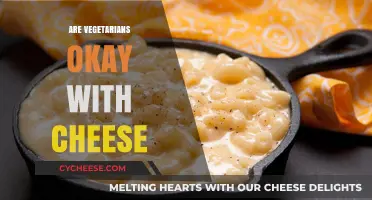 Are Vegetarians Okay with Cheese? Exploring Dairy in Plant-Based Diets