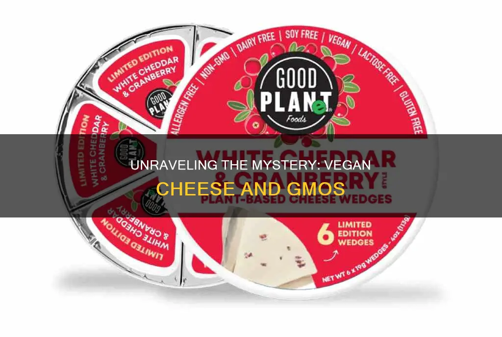 are vegitaraian cheese made with gmo