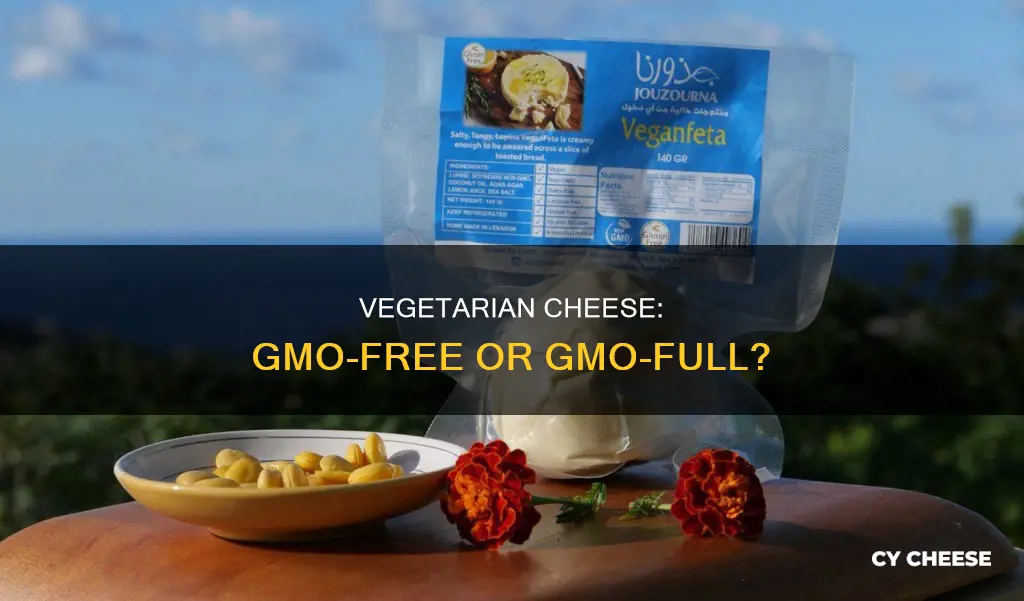 are vegitaraian cheese made with gmo