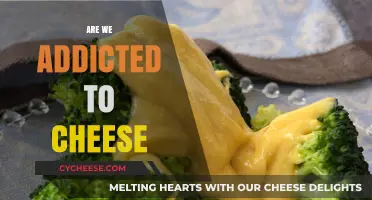 Cheese Addiction: Unraveling Our Love Affair with Dairy's Golden Delight