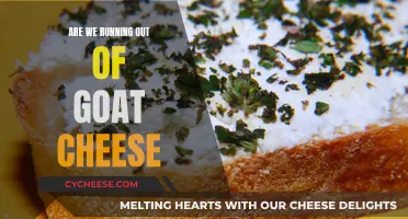 Goat Cheese: A Sustainable Delicacy or Rarity?