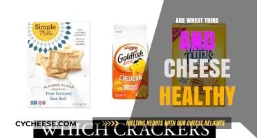 Healthy Snacking: Wheat Thins and Cheese