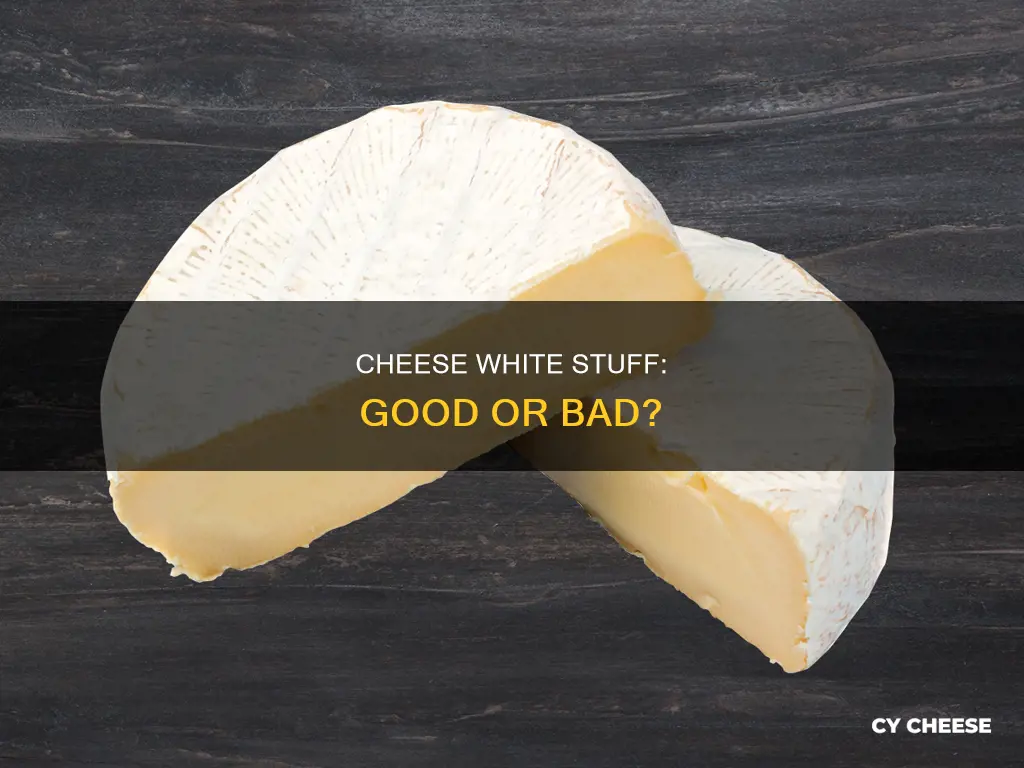 are white atuff on cheese bad