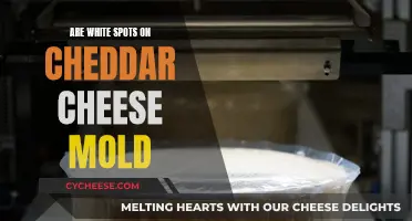 Unraveling the Mystery: Are White Spots on Cheddar Cheese Mold?