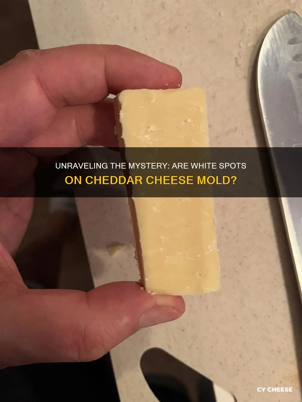 are white spots on cheddar cheese mold