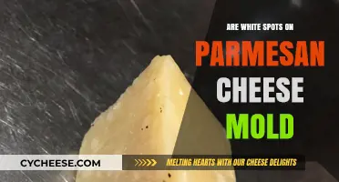 White Spots on Parmesan: Is It Mold?