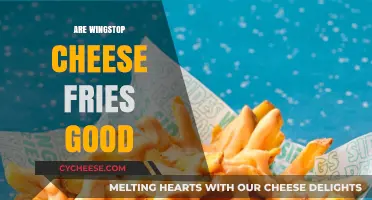 Wingstop Cheese Fries Review: Are They Worth the Hype?