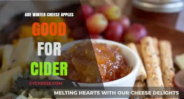 Winter Cheese Apples: Perfect for Cider or Just a Myth?