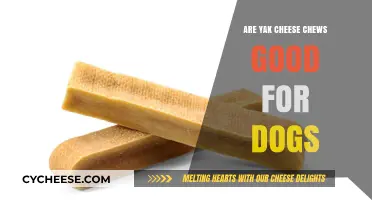 Yak Cheese Chews: Healthy Dog Treats or Just a Trend?