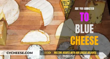 Blue Cheese: A Delicious Addiction or a Health Risk?