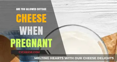 Cottage Cheese During Pregnancy: Safe or Not? Expert Advice