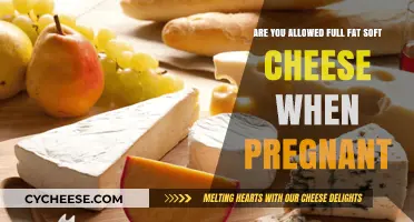 Pregnancy and Full-Fat Soft Cheese: Safe or Off-Limits?