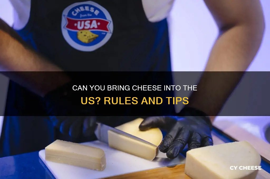 are you allowed to bring cheese into the us