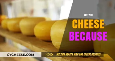 Are You Cheese Because You're Grated, Melty, or Just Plain Gouda?