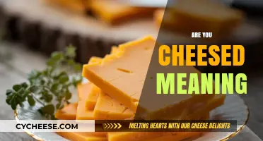 Are You Cheesed? Unraveling the Meaning Behind This Quirky British Slang