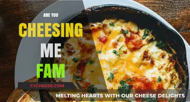 Are You Cheesing Me Fam? Decoding the Cheesy Trend and Its Impact