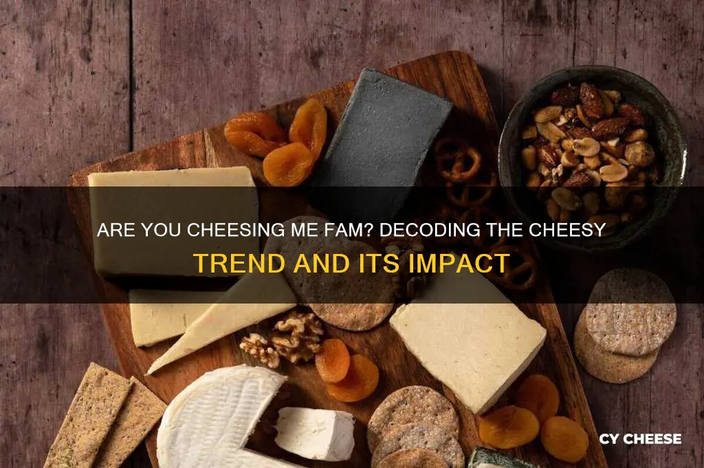 are you cheesing me fam