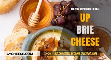 Should You Heat Brie? Tips for Perfectly Melted Cheese Delight