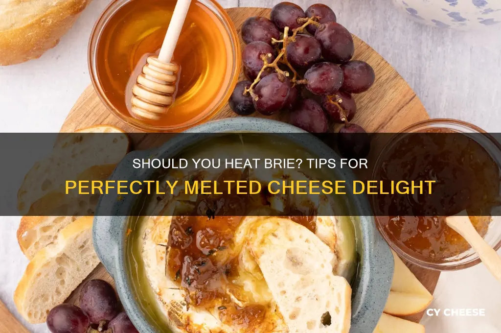 are you supposed to heat up brie cheese