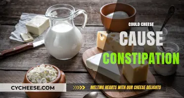 Does Cheese Cause Constipation? Unraveling the Dairy-Digestive Connection