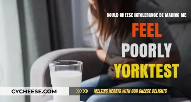 Could Cheese Intolerance Be Causing Your Poor Health? YorkTest Explains