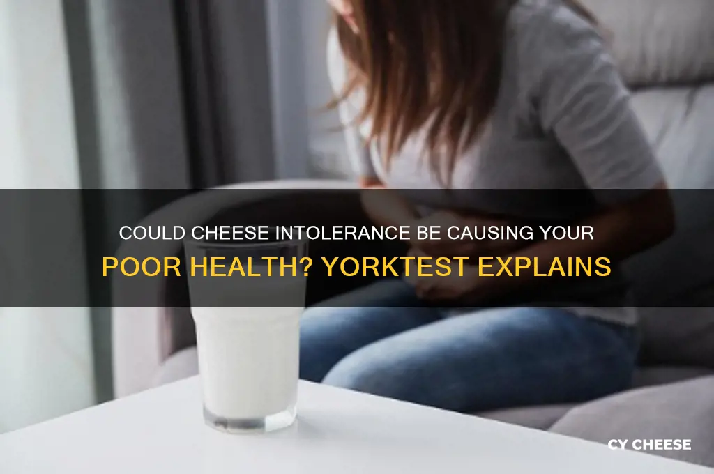 could cheese intolerance be making me feel poorly yorktest