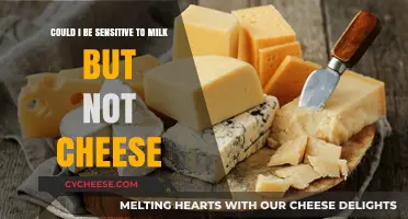 Milk Sensitivity vs. Cheese Tolerance: Understanding Dairy Differences