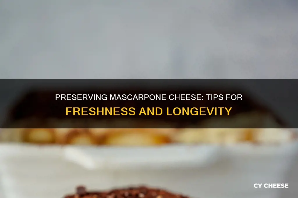 could i preserve marscapone cheese